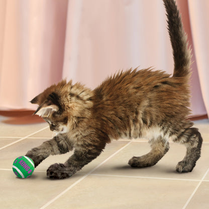 cat playing with a kong toy